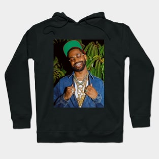 Sean Don Hoodie